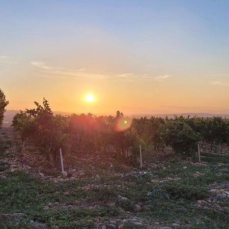 Le Willow Châteauneuf-du-Pape Εξωτερικό φωτογραφία