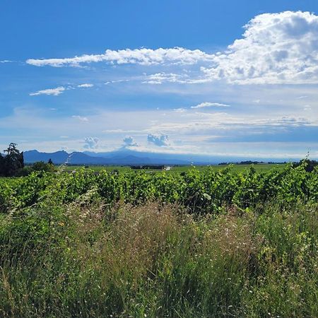 Le Willow Châteauneuf-du-Pape Εξωτερικό φωτογραφία