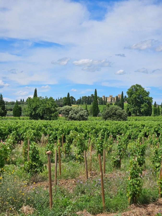 Le Willow Châteauneuf-du-Pape Εξωτερικό φωτογραφία